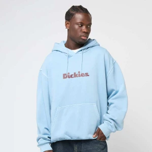 Dickies Slayden GD Hoodie mężczyźni Bluzy niebieski rozmiar Odzież