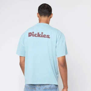 Dickies Slayden GD Shortsleeve Tee mężczyźni T-Shirty i Polo niebieski rozmiar Odzież