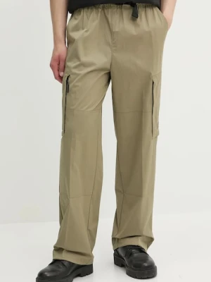 Dickies spodnie zielony