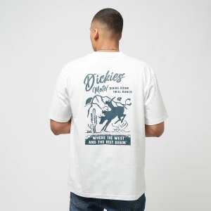 Dighton Tee Ss, markiDickies, T-Shirty i Polo, w kolorze biały, rozmiar: