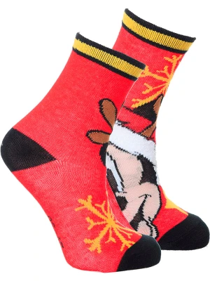 Disney Mickey Mouse Skarpety "Myszka Miki" w kolorze czerwonym rozmiar: 27-30