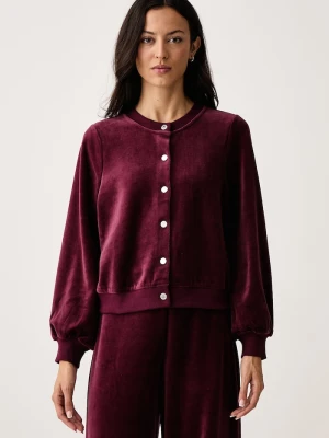 DKNY bluza damska welurowa bordowy