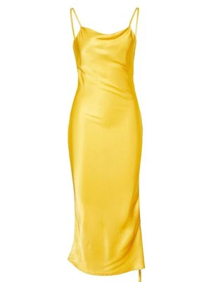 Długa sukienka pinko