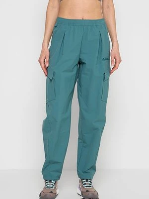 Długie spodnie trekkingowe adidas Terrex