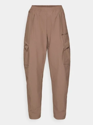 Długie spodnie trekkingowe Adidas Terrex brązowy