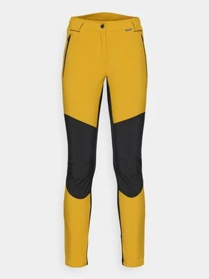 Długie spodnie trekkingowe icepeak