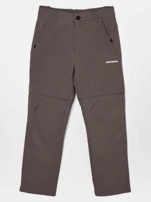 Długie spodnie trekkingowe icepeak szary
