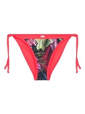 Dół od bikini Lingadore