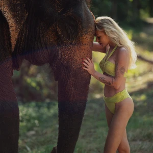 Dół od bikini Truffle Esotiq