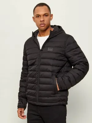 Dolce & Gabbana Puchowa kurtka | Regular Fit