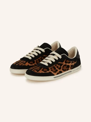 Dolce & Gabbana Sneakersy Saint Tropez Light braun brązowy