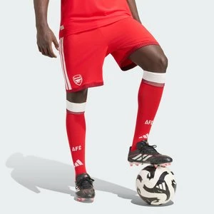 Domowe szorty Arsenal FC 26/27 Authentic Adidas