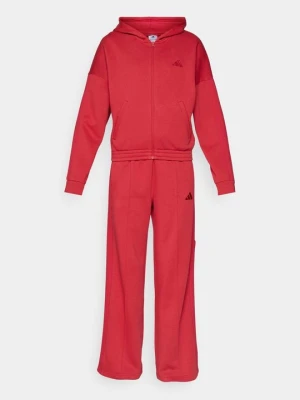 Dres Adidas bordowy