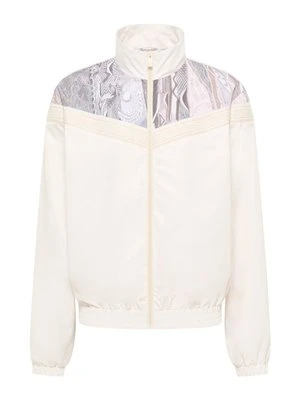 Dres carlo colucci
