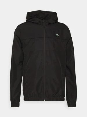 Dres Lacoste Sport