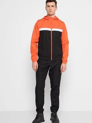 Dres Lacoste Sport