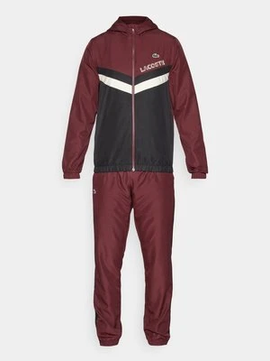 Dres Lacoste Sport