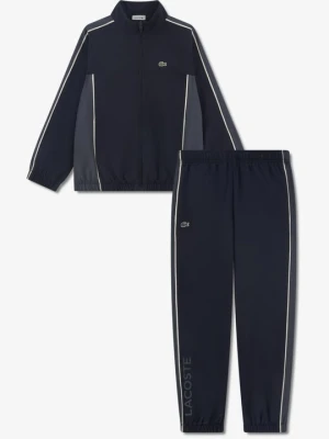 Dres Lacoste szary