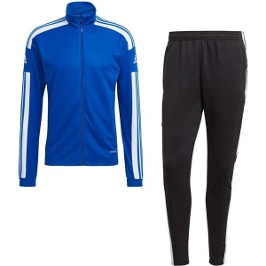 Dres męski Squadra 21 Training Adidas