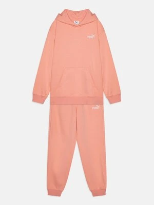 Dres Puma