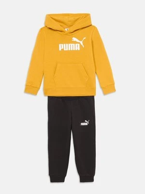 Dres Puma