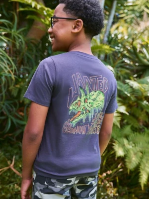 Dripping Dino t-shirt dla dzieci z krótkim rękawem - Grey Mountain Warehouse
