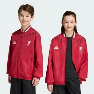Dziecięca bluza dresowa Liverpool FC Stadium Adidas