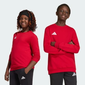 Dziecięca bluza Entrada26 Adidas