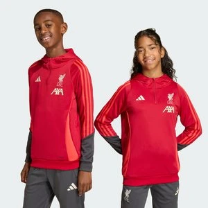 Dziecięca bluza z kapturem Liverpool FC Tiro 25 Competition Training Adidas