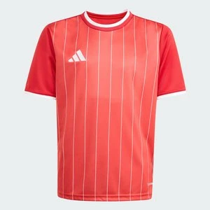 Dziecięca koszulka Entrada 26 Graphic Adidas