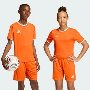 Dziecięca koszulka Entrada26 Adidas
