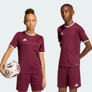 Dziecięca koszulka Entrada26 Adidas bordowy