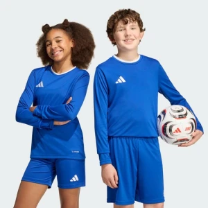 Dziecięca koszulka Entrada26 Long Sleeve Jersey Adidas
