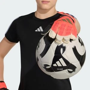 Dziecięce treningowe rękawice bramkarskie Predator Adidas