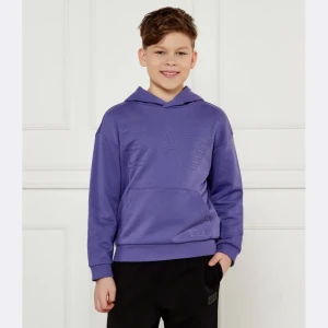 EA7 Bluza | Regular Fit