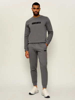 EA7 Dres | Regular Fit szary