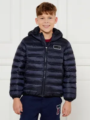 EA7 Kurtka | Regular Fit