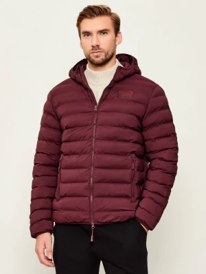 EA7 Kurtka | Regular Fit