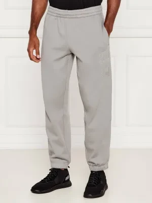 EA7 Spodnie dresowe | Modern fit