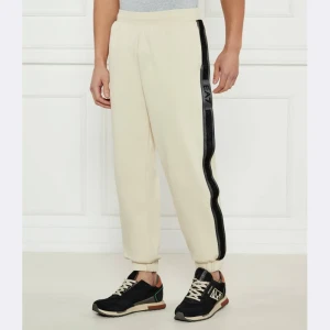 EA7 Spodnie dresowe | Modern fit