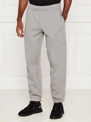 EA7 Spodnie dresowe | Modern fit szary