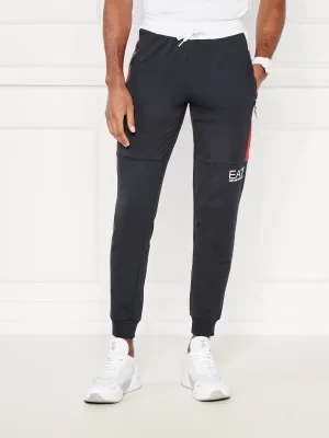 EA7 Spodnie dresowe | Regular Fit