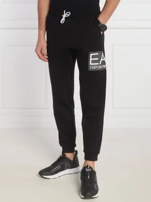 EA7 Spodnie dresowe | Regular Fit