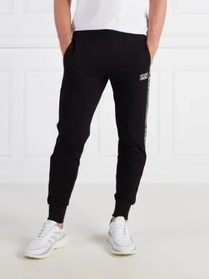 EA7 Spodnie dresowe | Regular Fit