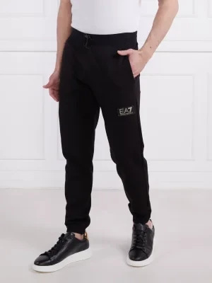 EA7 Spodnie dresowe | Regular Fit