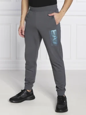 EA7 Spodnie dresowe | Regular Fit