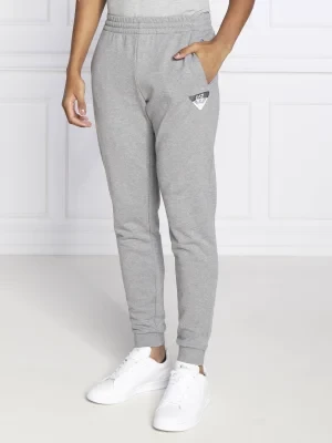 EA7 Spodnie dresowe | Regular Fit