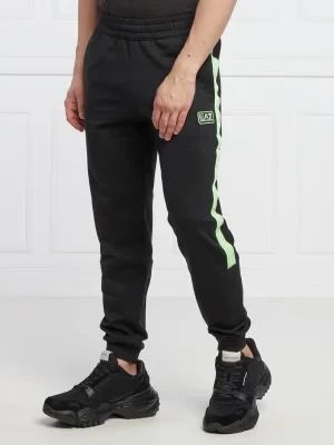 EA7 Spodnie dresowe | Regular Fit