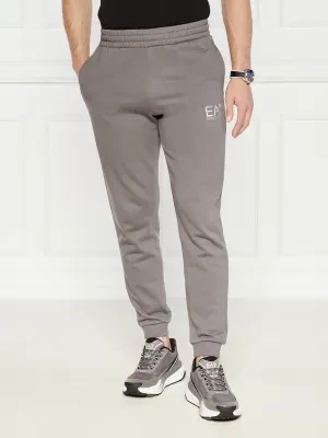 EA7 Spodnie dresowe | Regular Fit