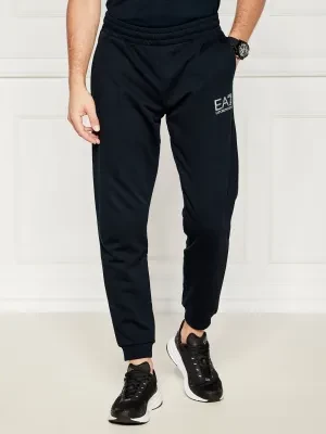 EA7 Spodnie dresowe | Regular Fit